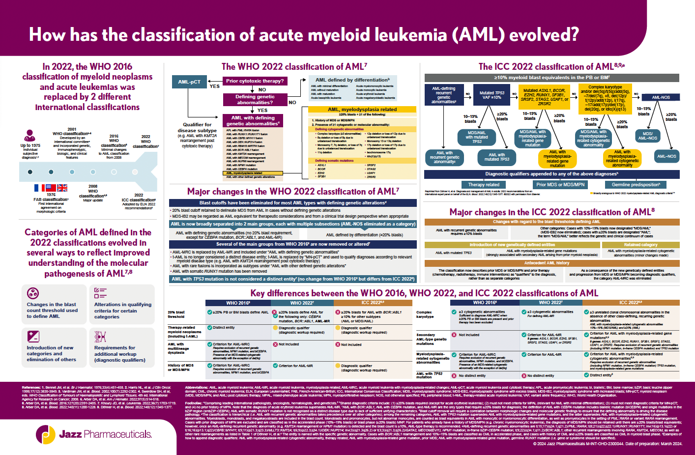 AML Classifications Infographic Thumbnail