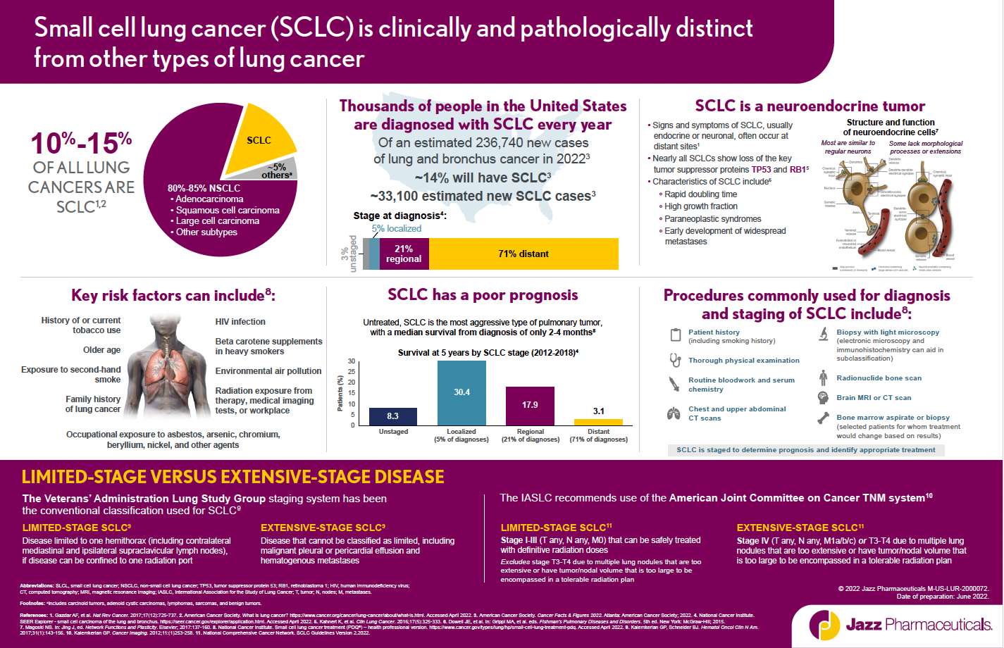 SCLC Disease Infographic Thumbnail